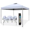 10x10ft Pop Up Canopy Tent Straight Legs Instant Canopy Outdoor With Wheeled Bags